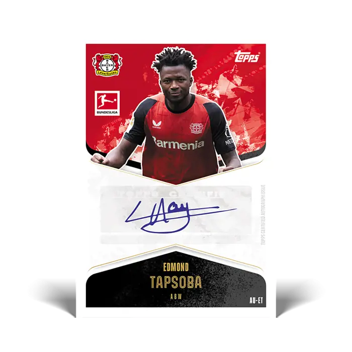 Topps Match Attax Bundesliga 2024/2025 - Complete Set Of All 288 Base Cards (Near Mint)