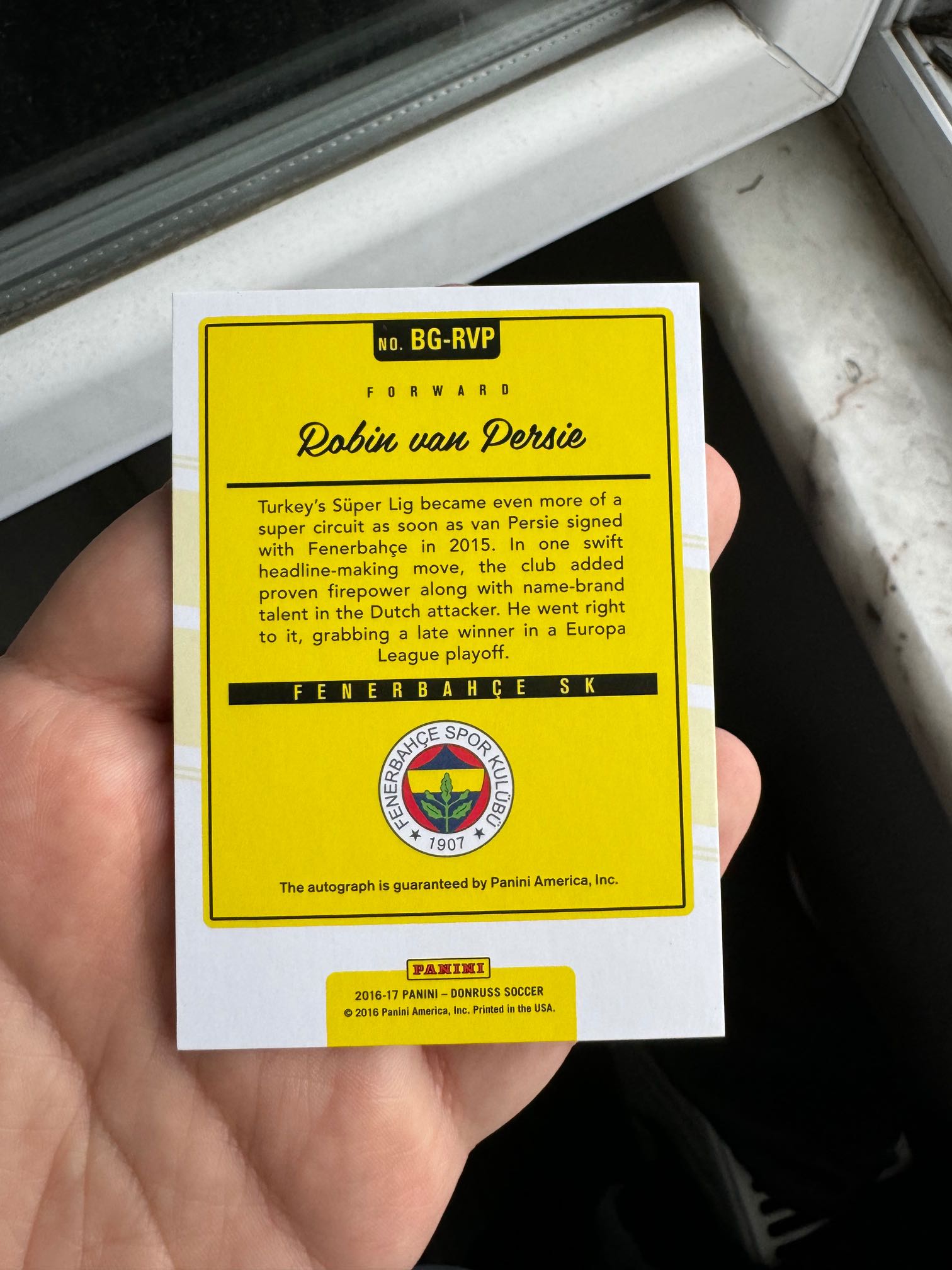 PANINI VAN PERSIE AUTO ファンペルシ 直筆サインカード 【公式通販】